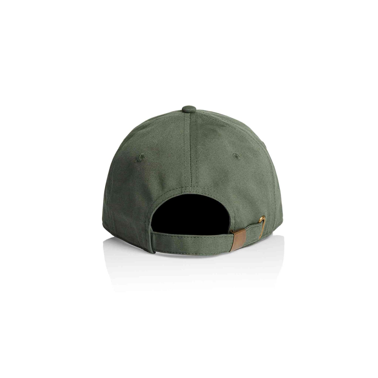 AS Colour 1130 Access 6 panel cap in cypress colour, back view