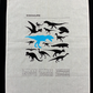 Screen Printing for Beginners (Emulsion / UV Exposure) 1 Day Class